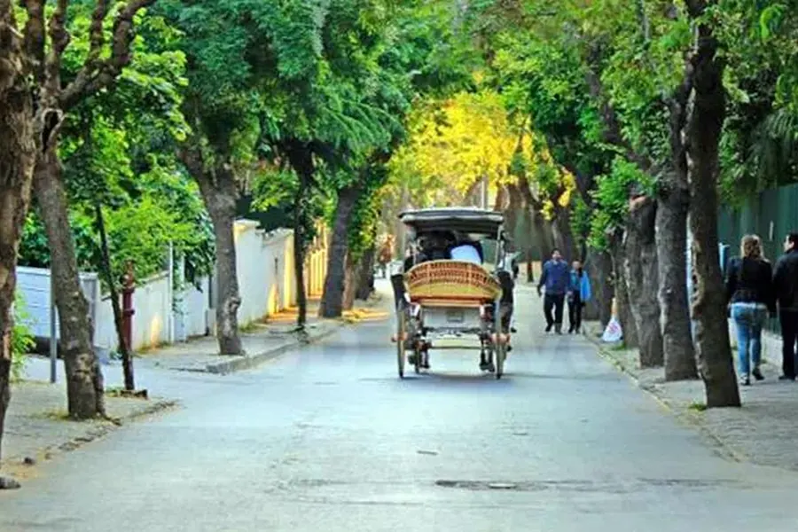 Tree-lined street with a carriage on Büyükada