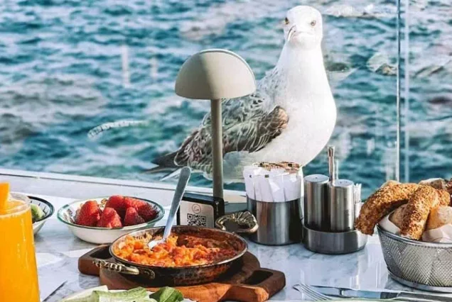 Bosphorus Breakfast Cruise – Morning istanbul Yacht Tour