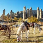 Cappadocia Tourist Information, Cappadocia Travel Advisory
