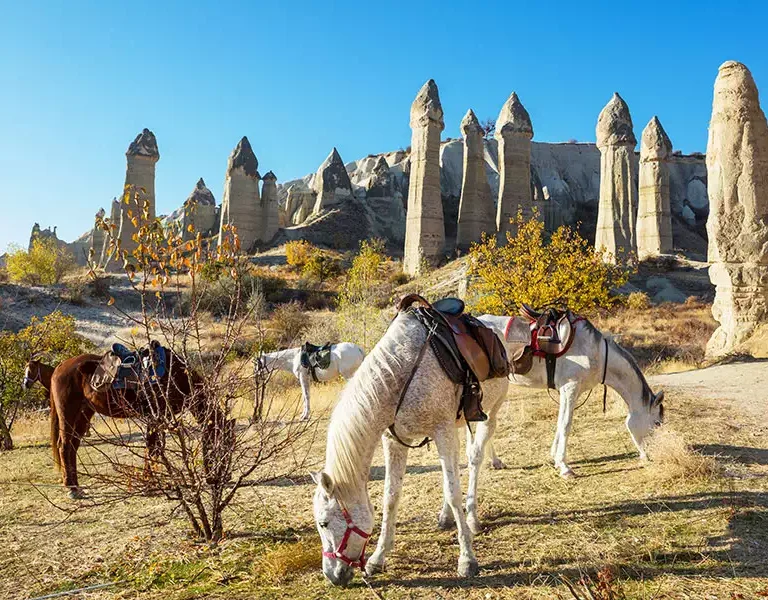 Cappadocia Tourist Information, Cappadocia Travel Advisory