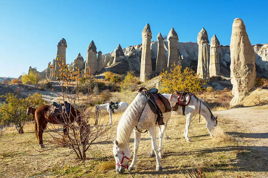 Cappadocia Tourist Information, Cappadocia Travel Advisory
