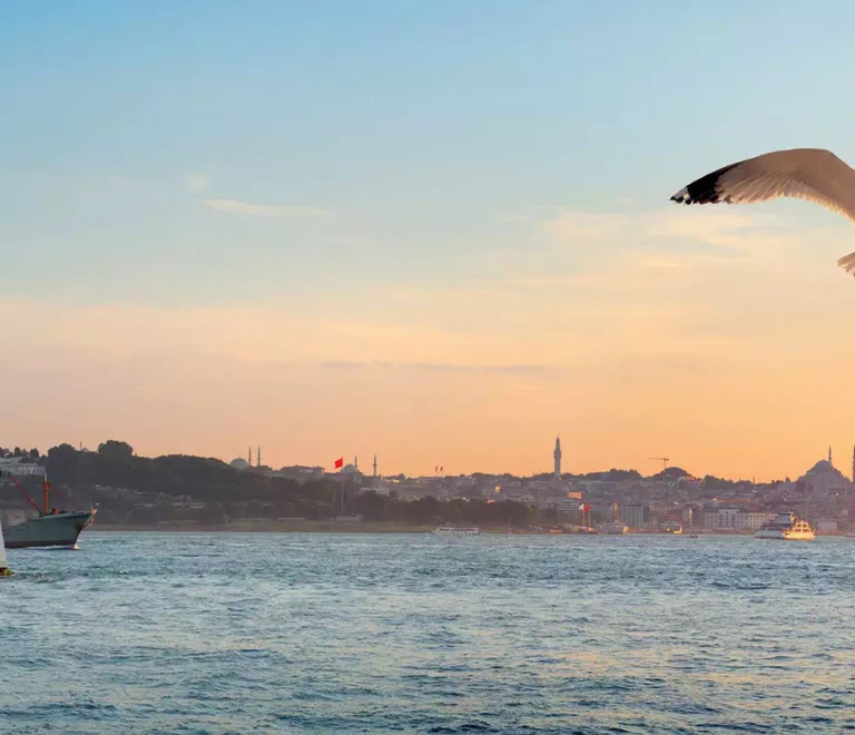 Bosphorus Cruise, istanbul