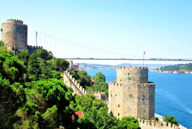 Dolmabahce Palace Tour and Bosphorus Cruise