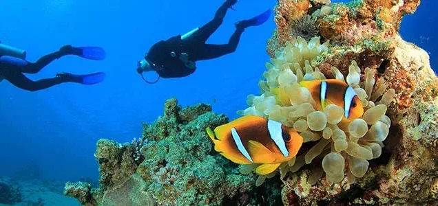 Scuba Diving in Turkey