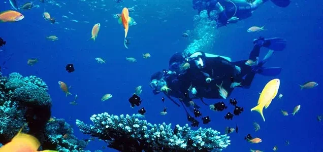 Scuba Diving in Turkey