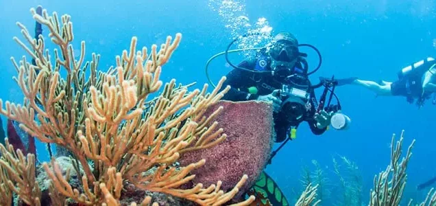 Scuba Diving in Turkey