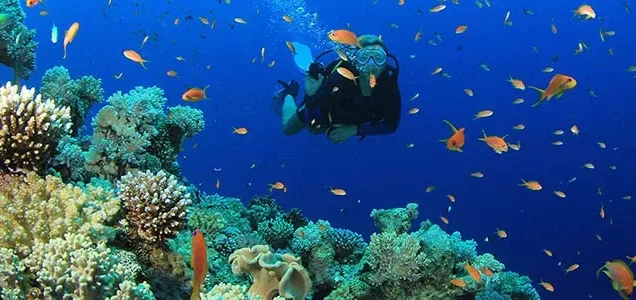 Scuba Diving in Turkey