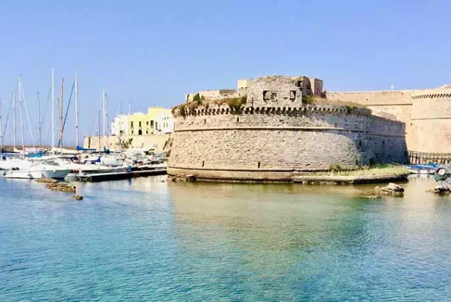 Daily Gallipoli Tour from istanbul