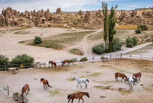 Cappadocia Tour from istanbul by Plane