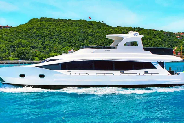 Private Bosphorus Sightseeing Cruise with Yacht