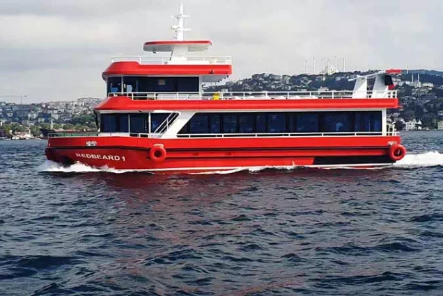 istanbul New Year's Eve Dinner Cruise